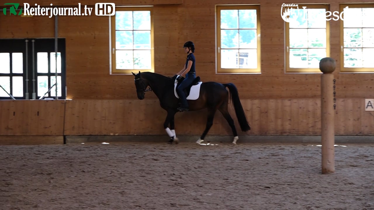 Richtig Reiten mit Anja Beran, Teil 1 von 2 - präsentiert von LOESDAU