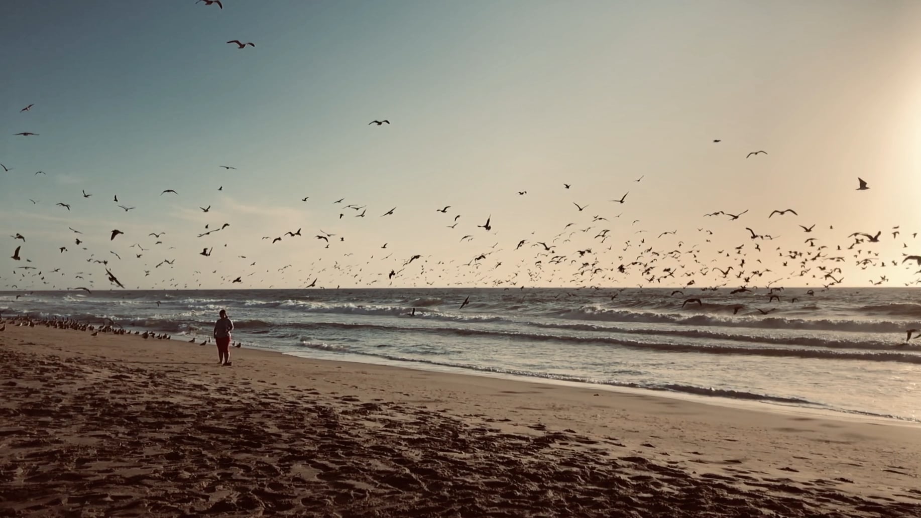 Pompano State Beach on Vimeo(01)