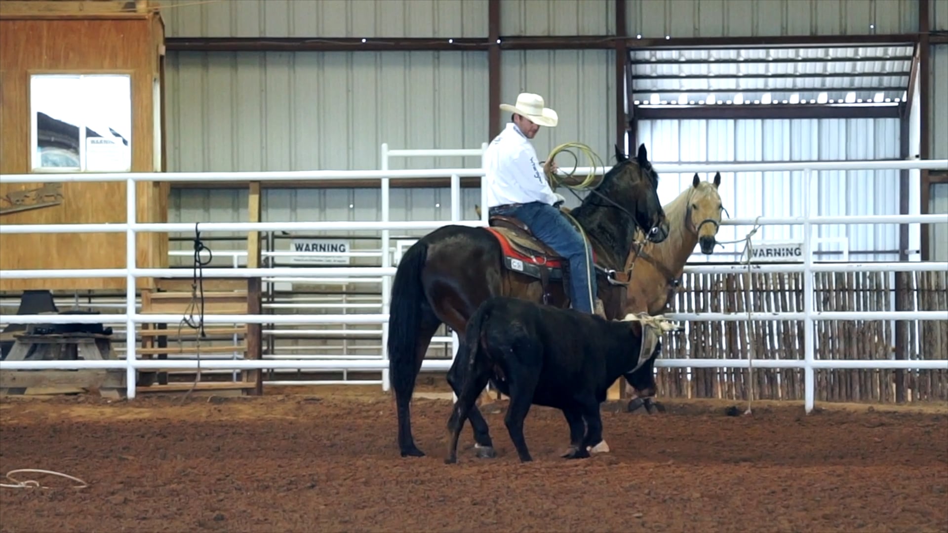 FREE Handling Younger Horses in the Box with Tyler Wade