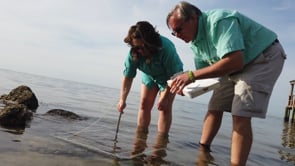 3. SCIENCE AND POLICY: Tampa Bay Estuary Program