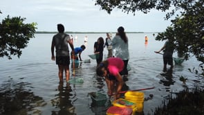 4. EDUCATION: Tampa Bay Estuary Program