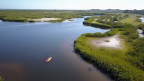 5. CONCLUSION: Tampa Bay Estuary Program