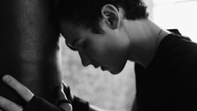 SHAWN MENDES - Emporio Armani (Dir Cut)