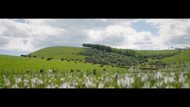 McDonald's Flagship Farmers, Stephen Hughes