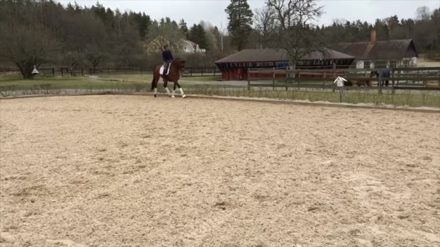 Sluta i trav