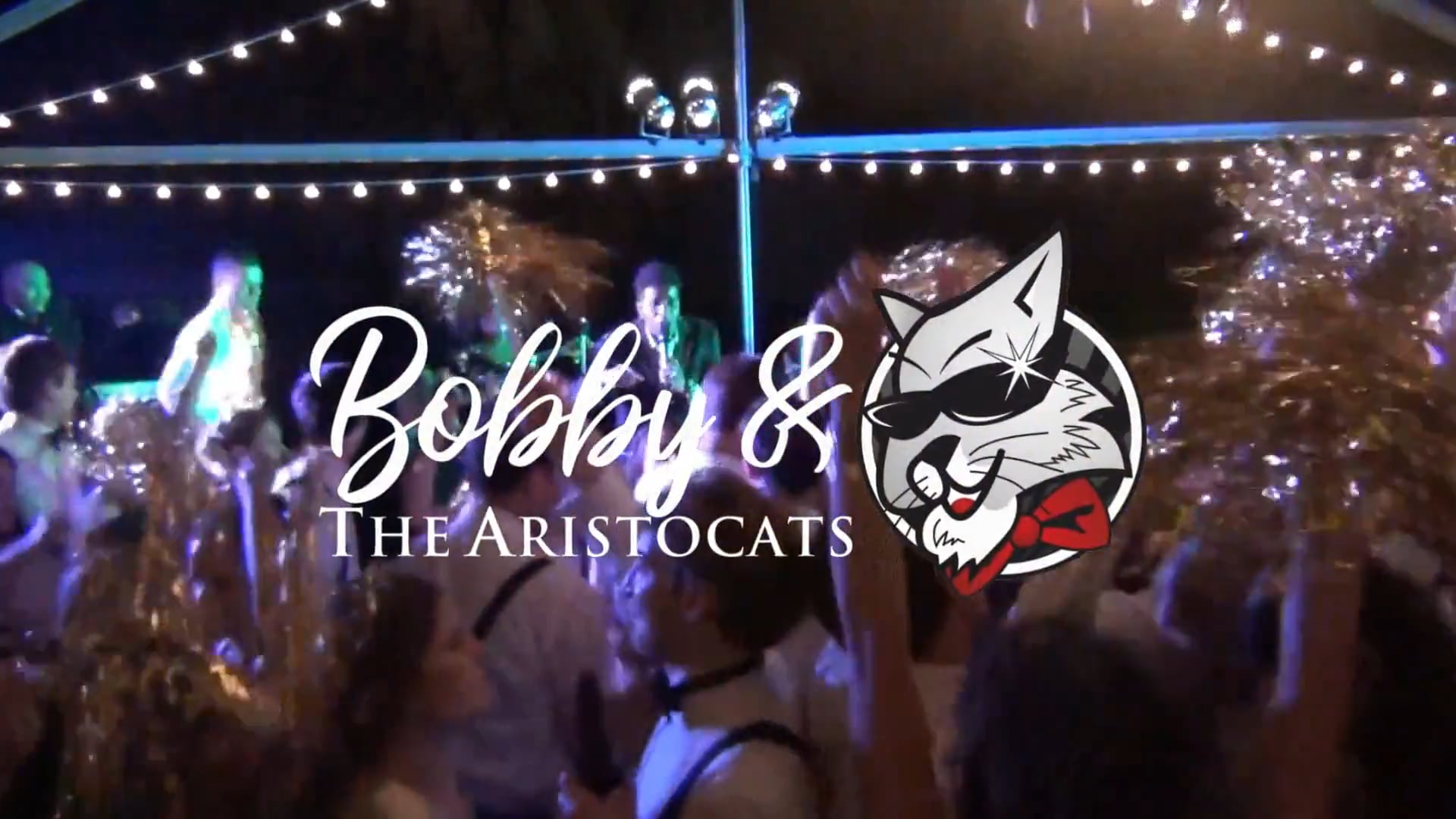 Promotional video thumbnail 1 for Bobby and The Aristocats