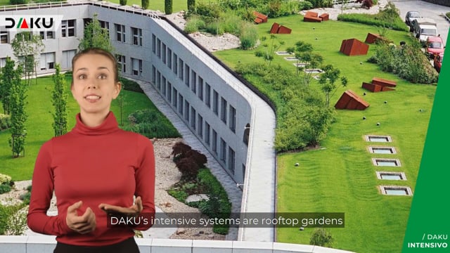 DAKU INTENSIVE