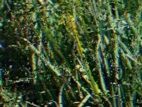 What the Minutes Say