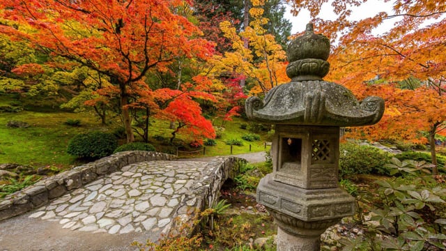 Japanese Garden. Fall