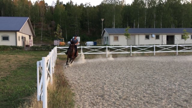 Volt tillbaka efter hinder