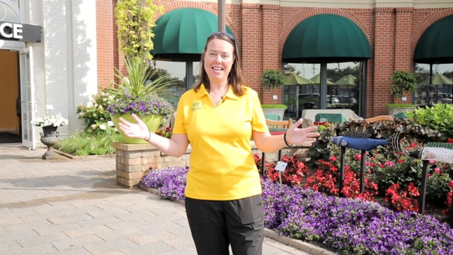 Eton Garden Tour