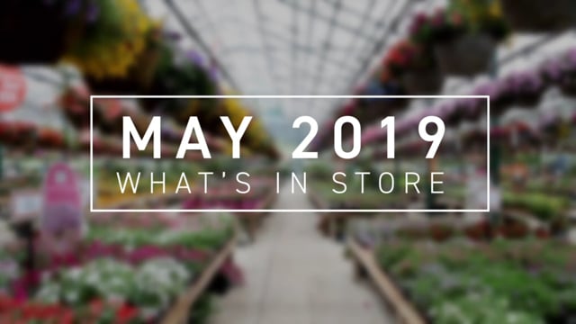 What’s In Store May 2019