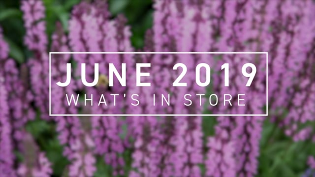 What’s In Store June 2019
