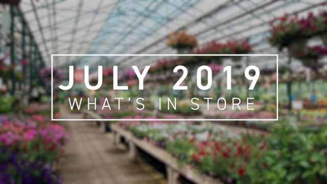 What’s In Store July 2019