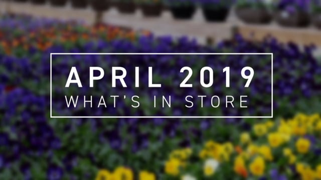What’s In Store April 2019