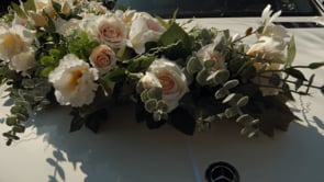 Related Embedded Video Item Thumbnail