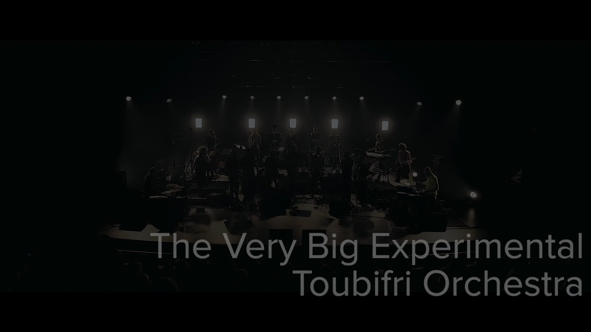 The very Big experimental Toubifri Orchestra_sexe