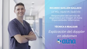 Explicación del doppler en abdomen