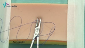 Tipos de puntos y patrones de sutura