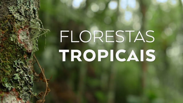 Florestas tropicais (Ciência para Todos / Futura)