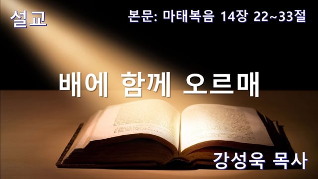 배에 함께 오르매