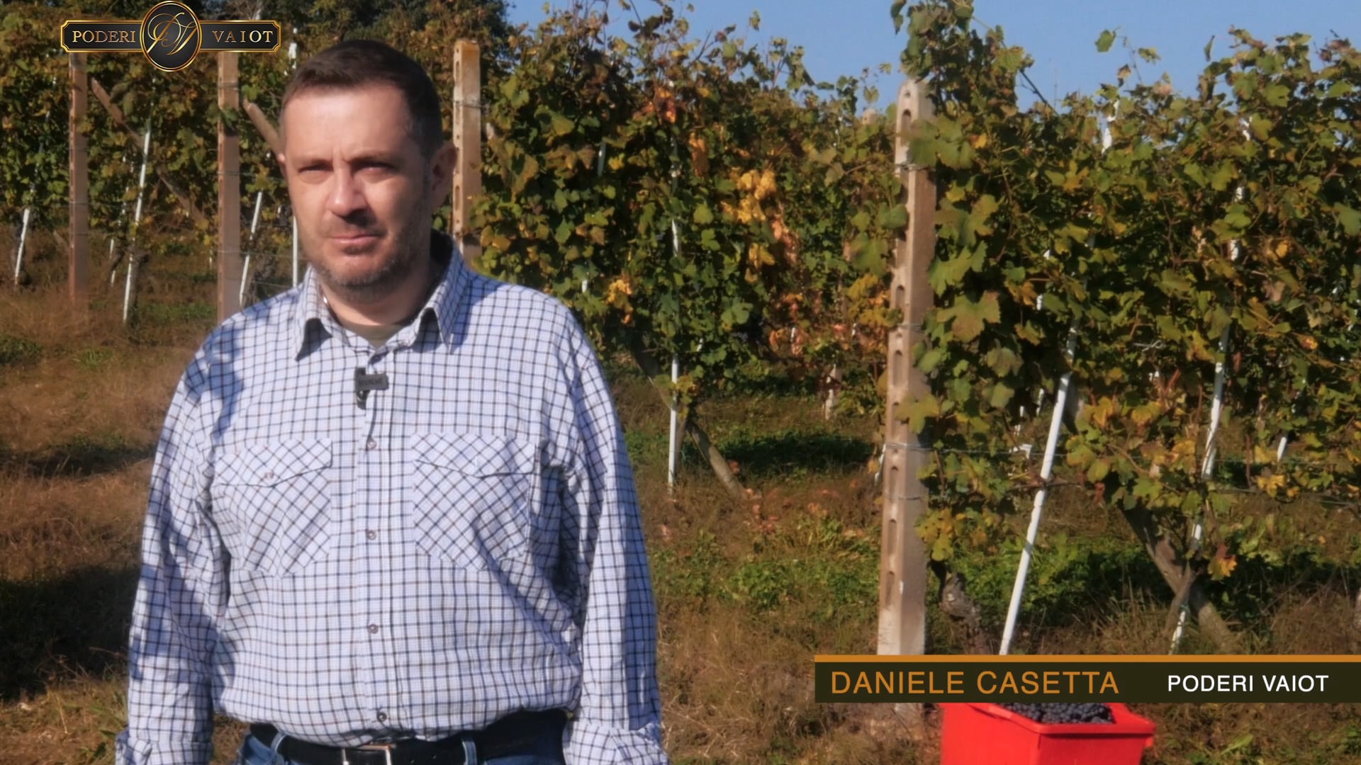 LA VENDEMMIA 2019 | EP. #2 CON DANIELE