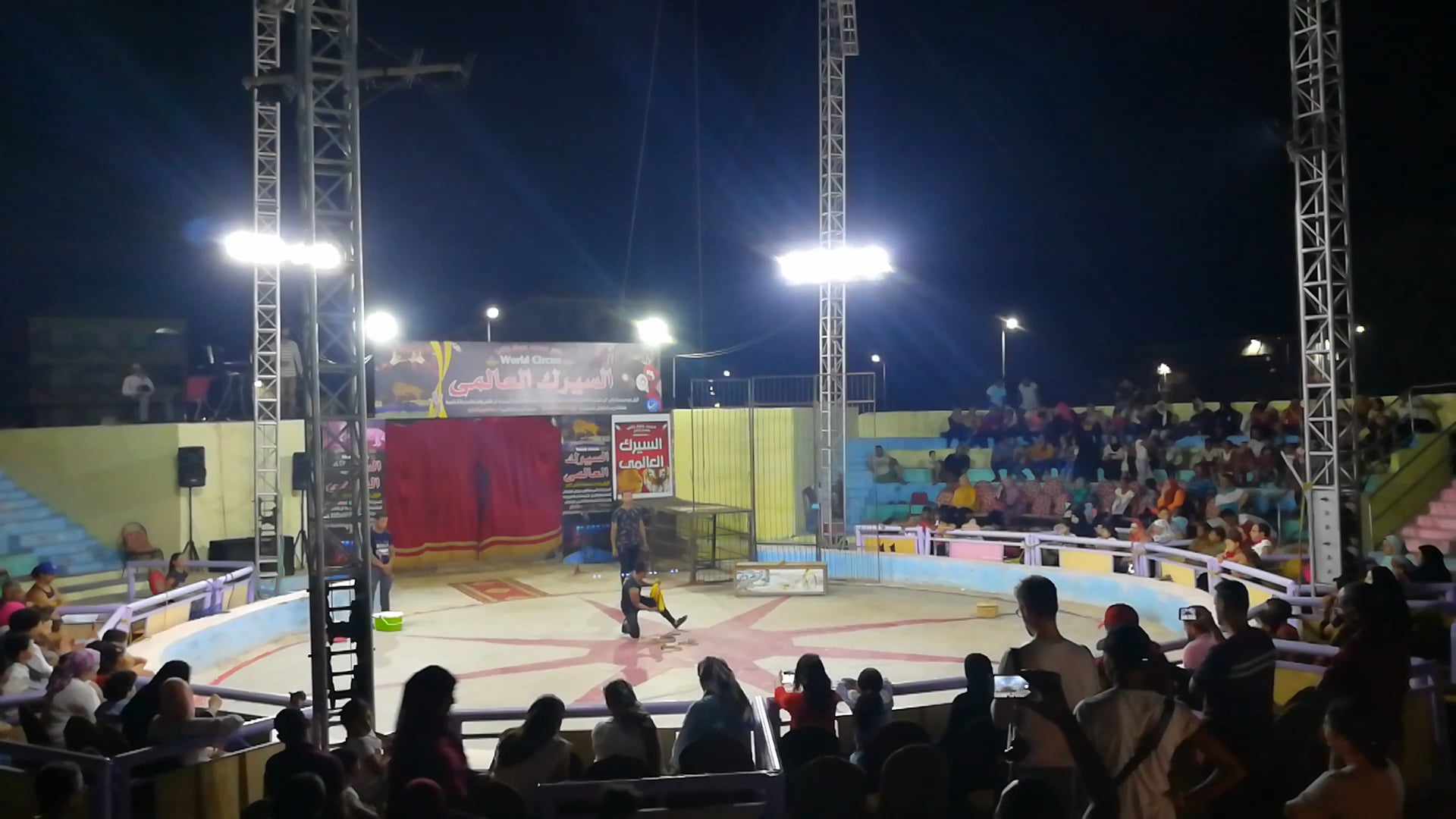 Guy Survive Deadly Cobra Snake In World Night Circus