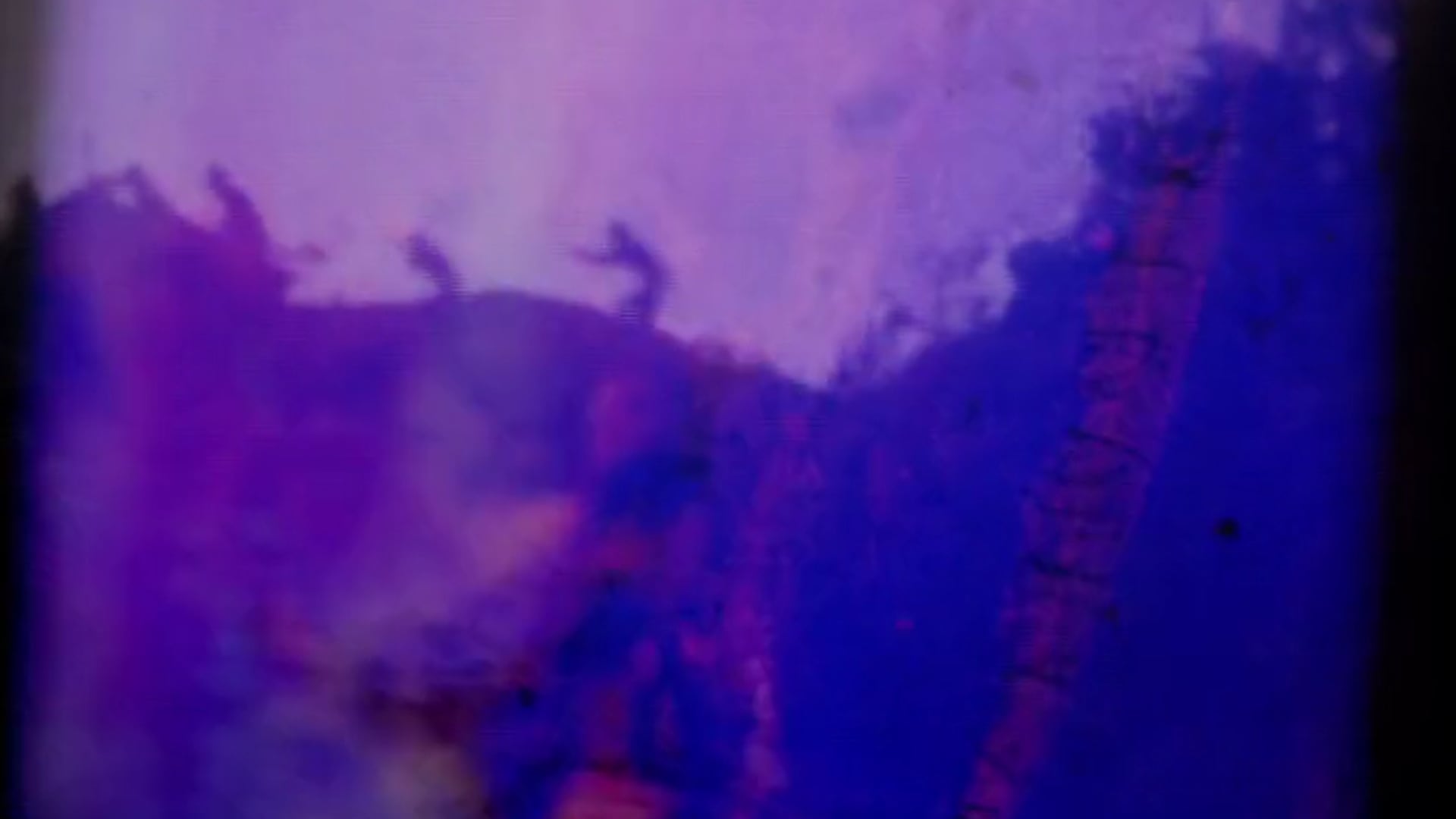 Nahash "Boris" Mix : Live Cinema