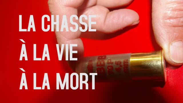 La chasse en quelques mots