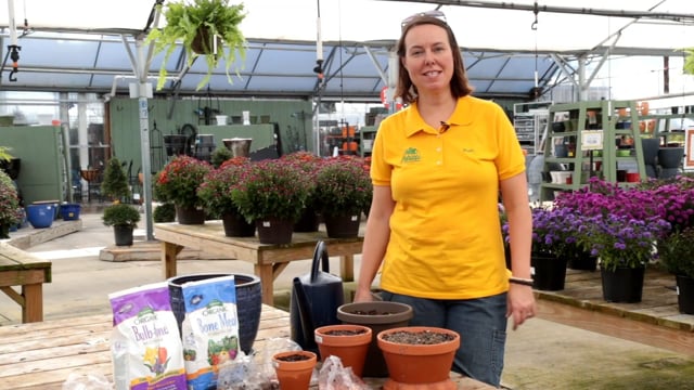 How To Plant Spring Bulbs in Pots