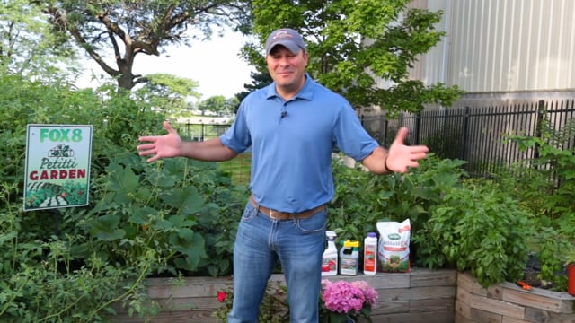 July 2018 Fox 8 Garden Update