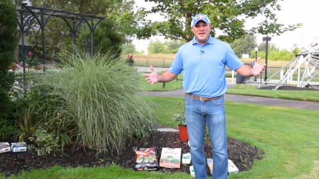 Late Summer Lawn Care