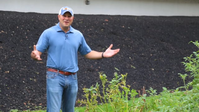 Garden Update & Late Summer Blooming Perennials