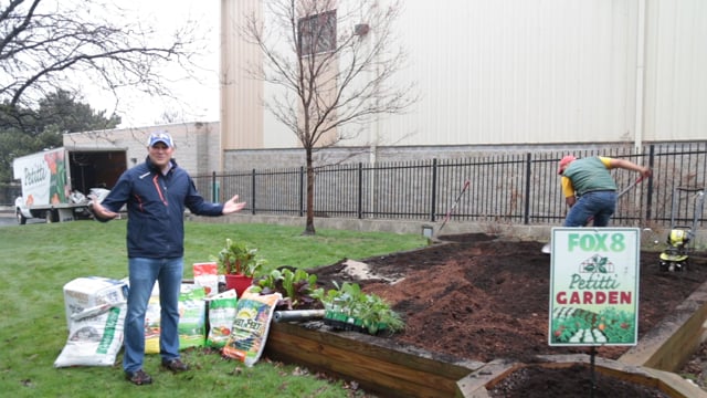 Early Spring Garden Prep