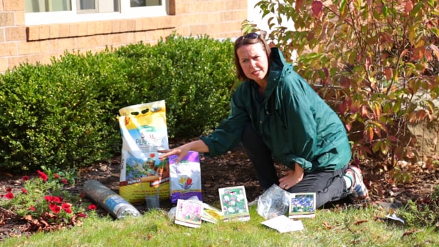 Fall Bulb Planting