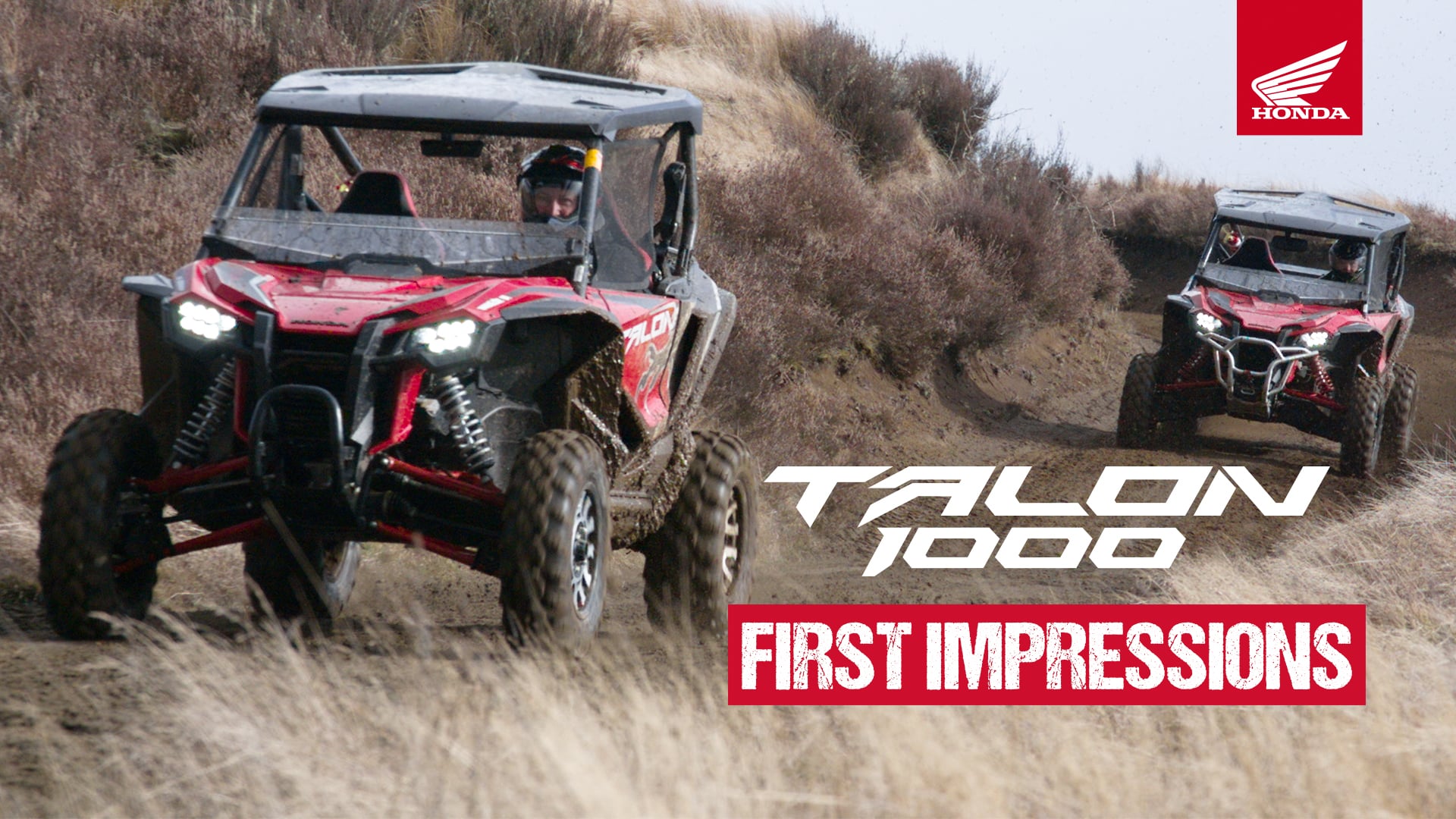 Blue Wing Honda - 2019 Talon First Impressions