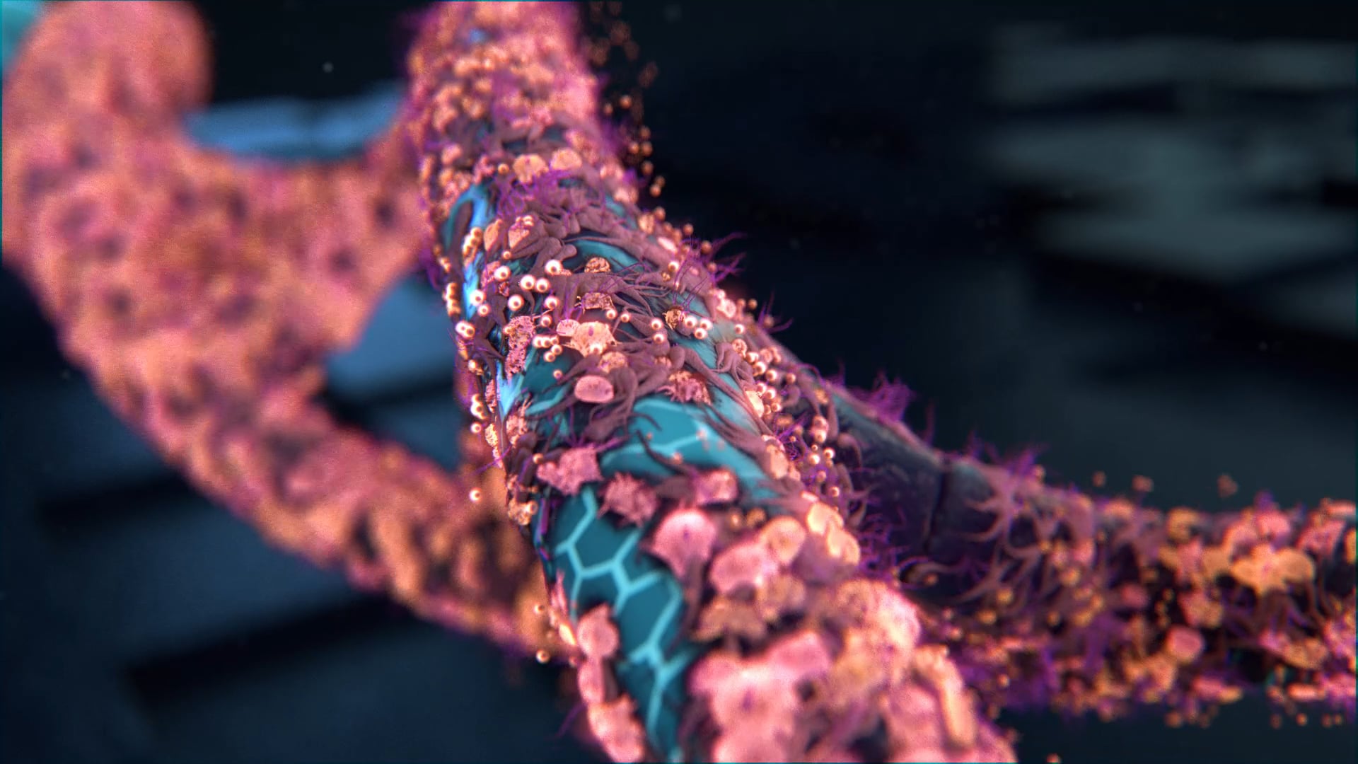 DNA_Infection on Vimeo
