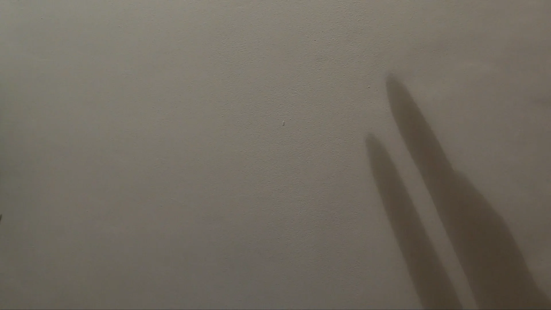 Project 1 on Vimeo