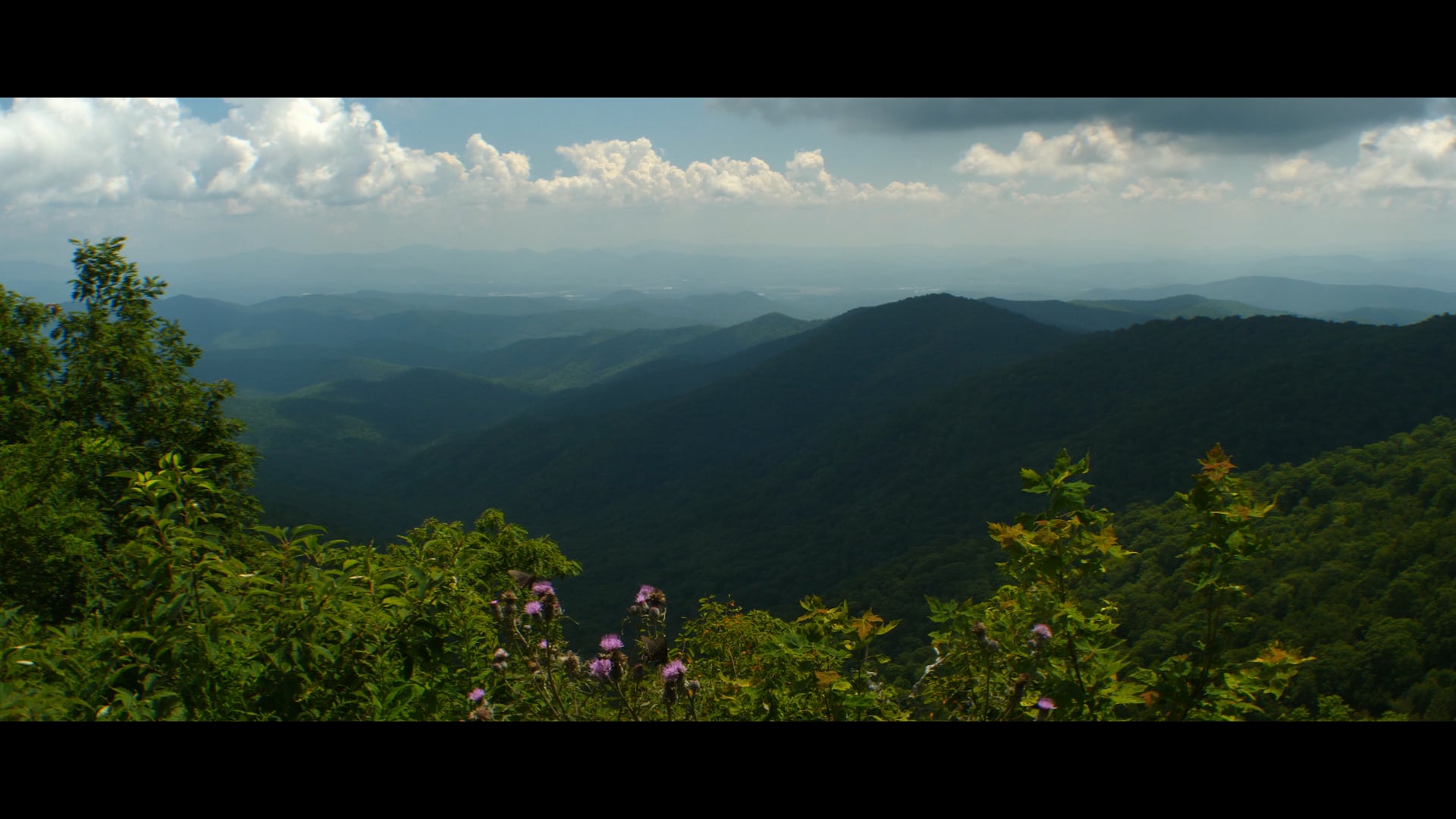 Nature of North Carolina presented in 4k CinemaScope