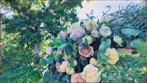 Walnut Grove at Tierra Rejada Farms - Moorpark, California #3