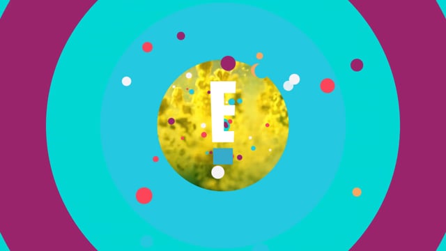 Motion Design Showreel 2020