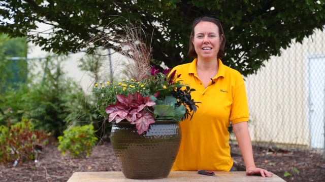 Container Garden – Late Summer Color