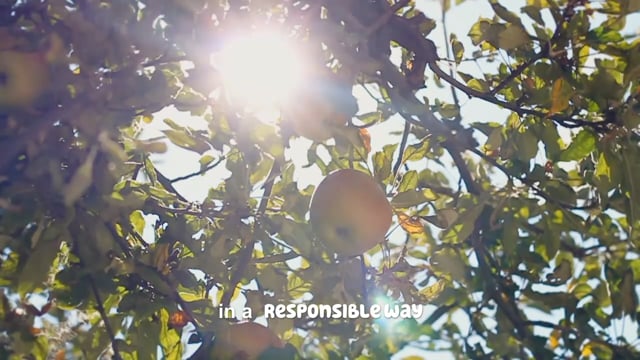 LENNE POUR BEL GROUP - FOR ALL FOR GOOD 2019