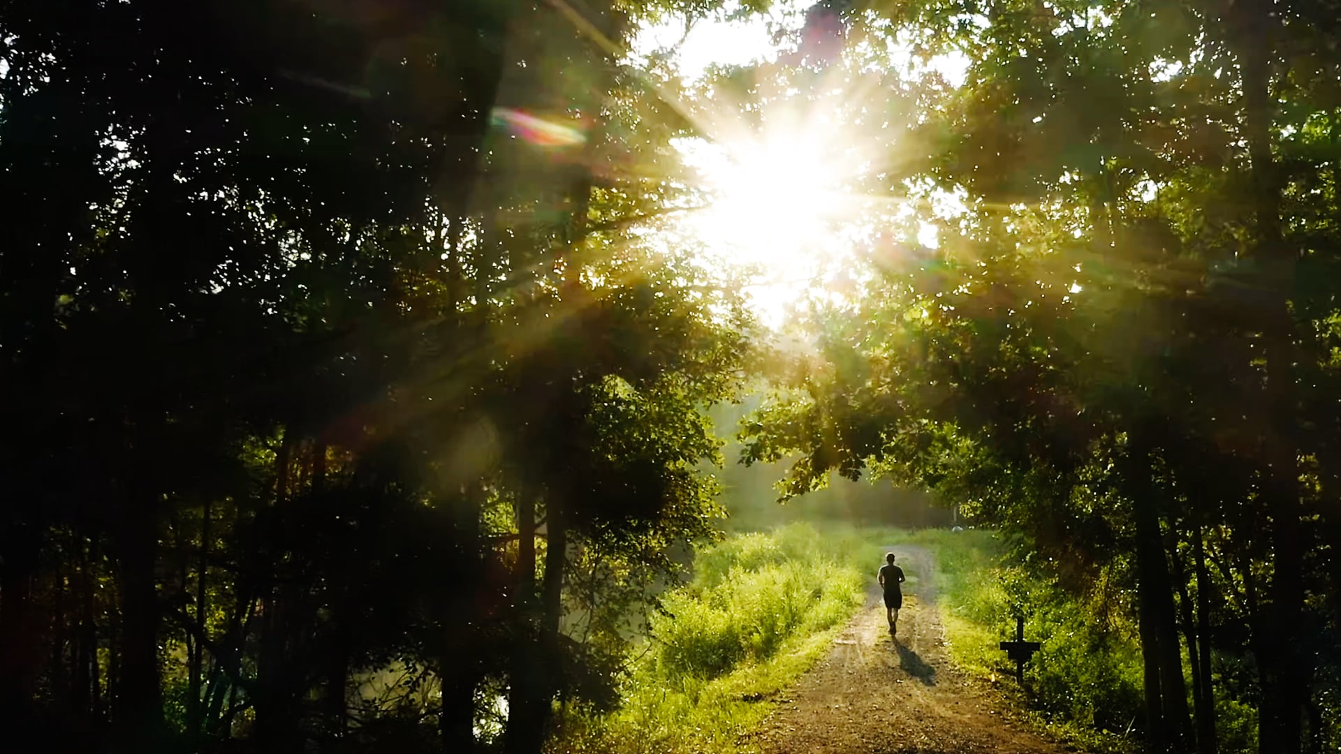 Anne Close Greenway // Brand Story