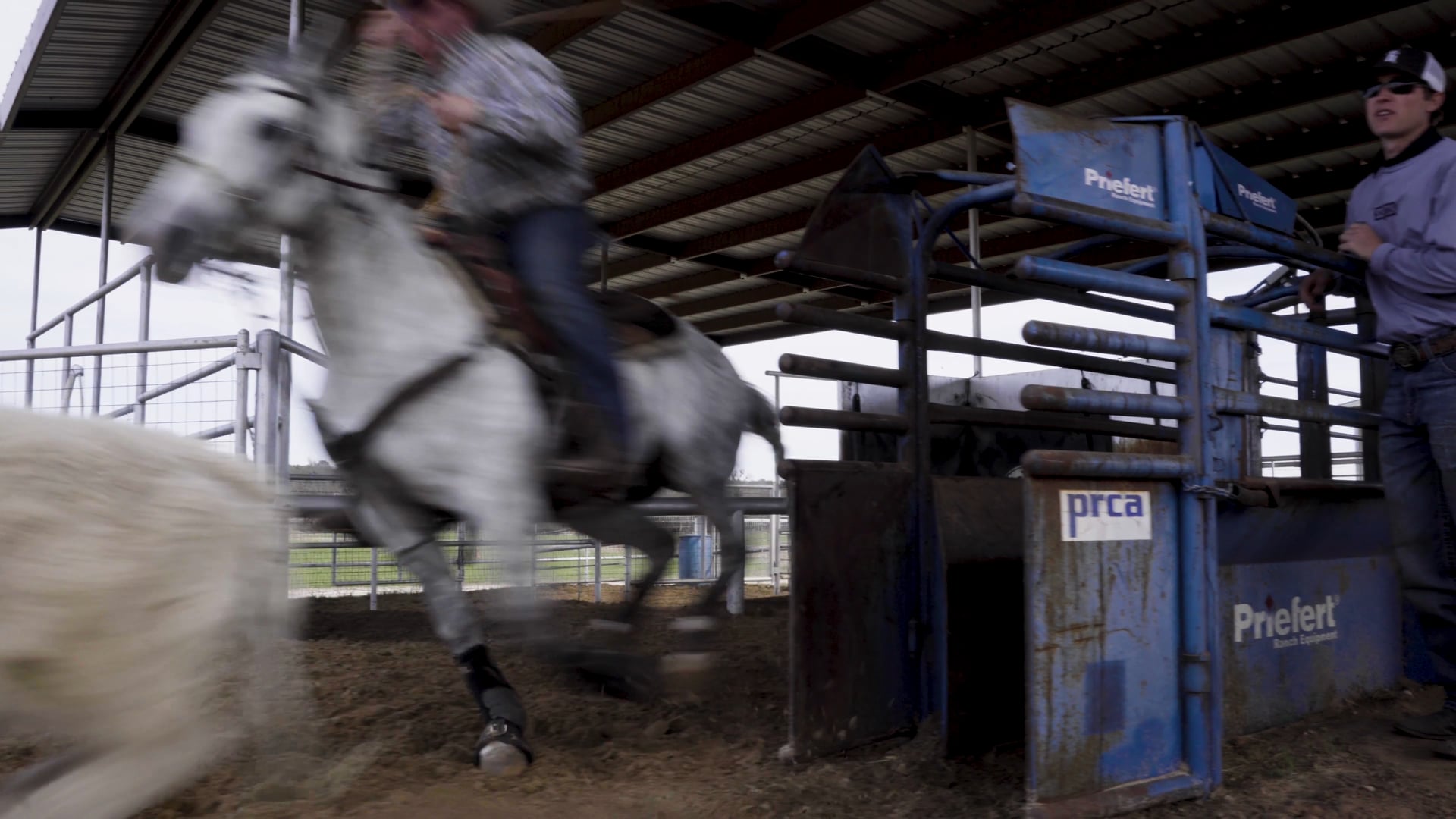 Barton Performance Horses