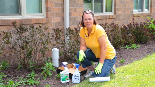 Non Selective Weed Control