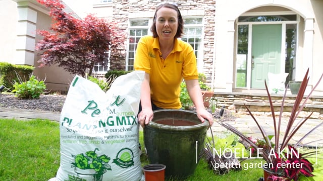 Container Gardening
