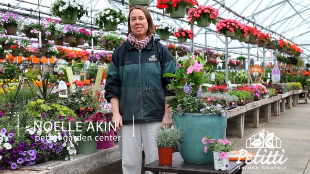 Container Gardens for Mom