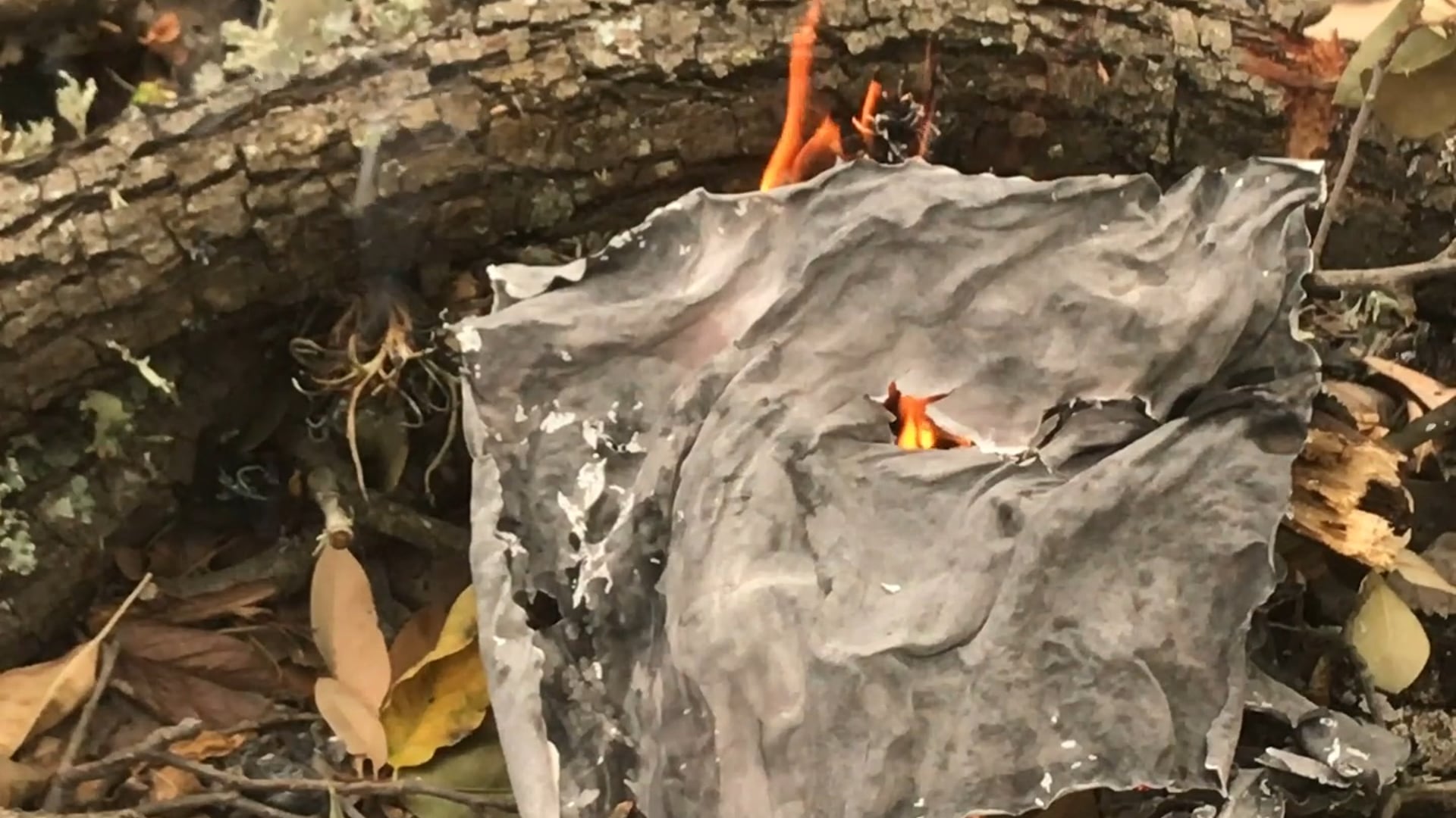 "Fumbling For the Light" by Ola Podrida, video by Andrew Hodge