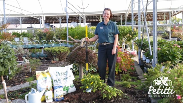 Fall Planting Tips